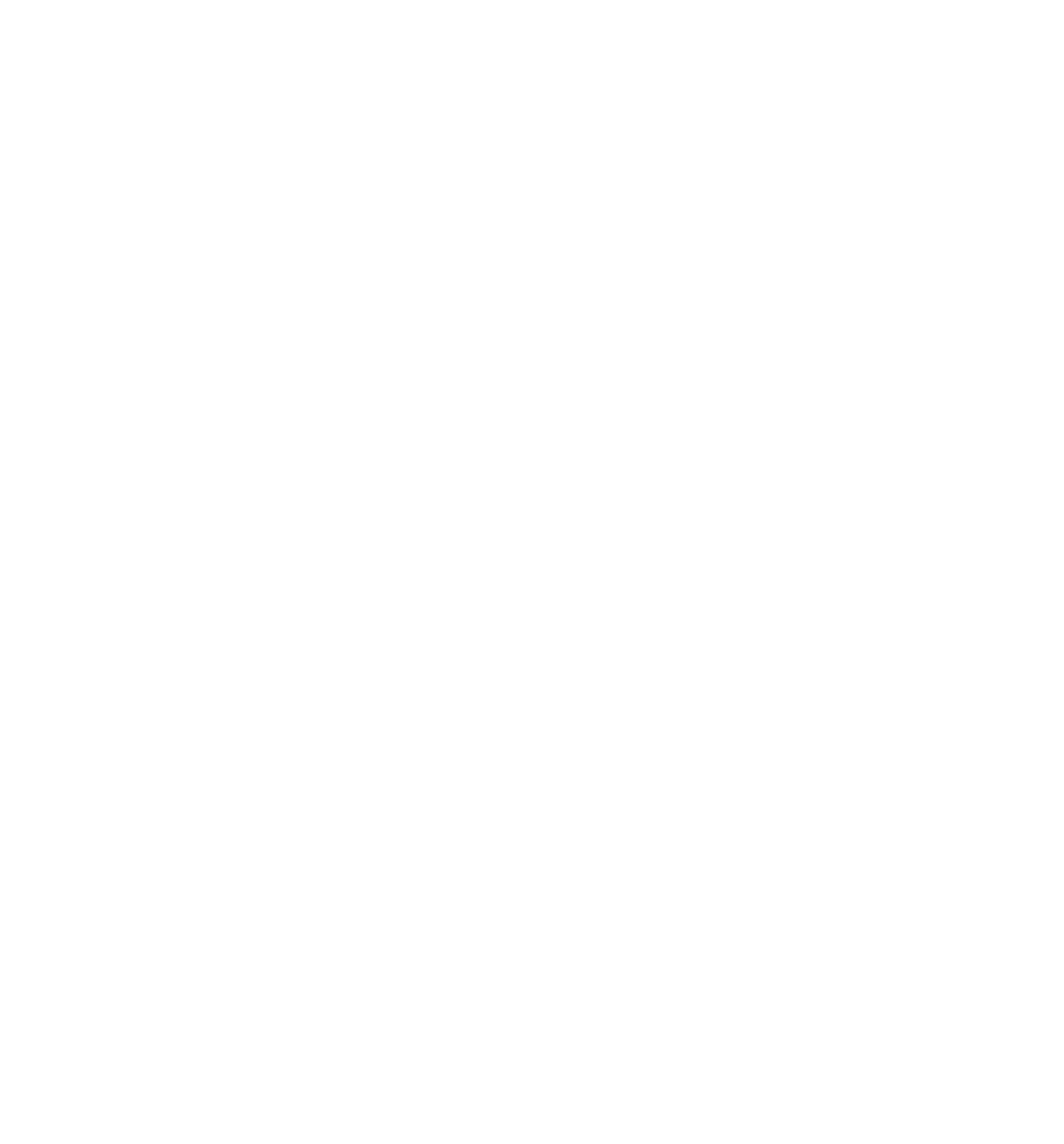 CAA-Logo White